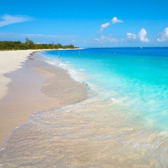 Meet your Posher, Jack - Picture 1 of 1